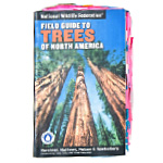 Tree Identification Book