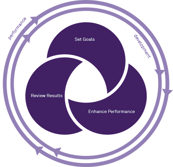 Performance development chart with the following steps: set goals, enhance performance, review results