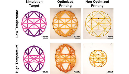 Displayed here is a comparison of simulation (left), experiment with manufacturing instructions (center), and experiment without instructions (right). With instructions, the material morphs from circle to ellipse as designed; without them, it fails.