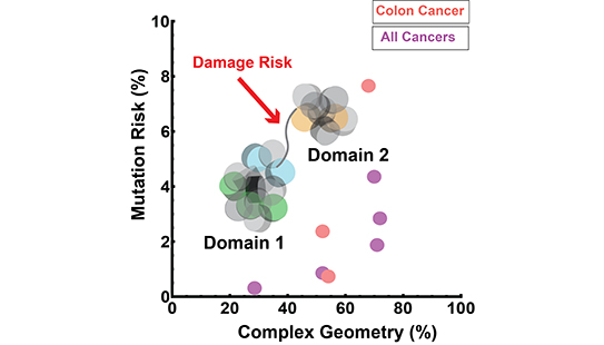Genes that drive cancers are made of complex stories that cells can misread.