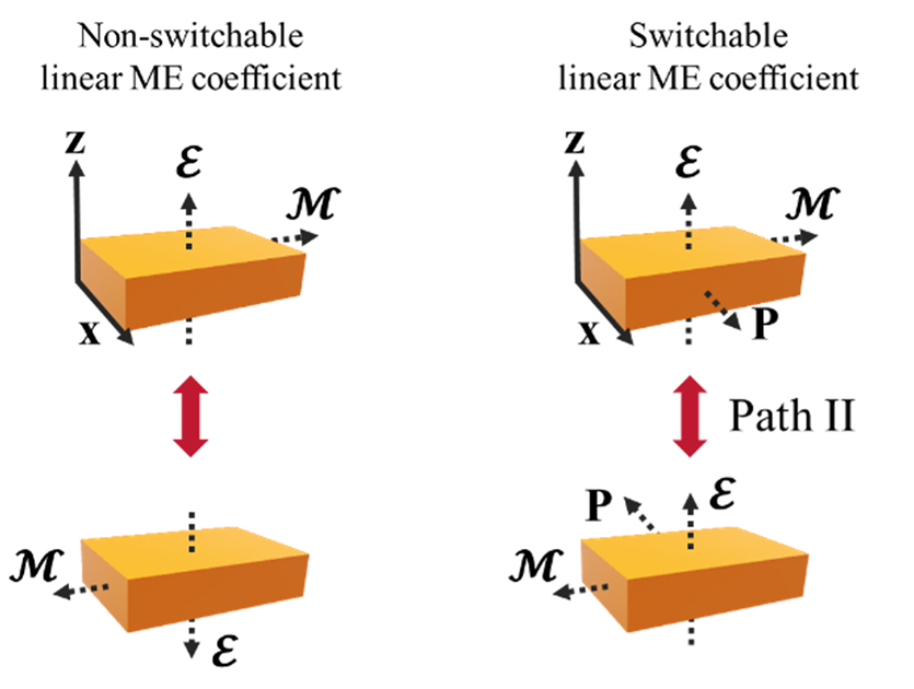 The figure contrasts the conventional volatile magnetoelectric effect, in which magnetic reversal occurs only under an external electric field and the magnetoelectric coefficient remains fixed, with a new ferroelectric-switched non-volatile effect. In the latter, flipping the ferroelectric polarization reverses the magnetoelectric coefficient, enabling permanently switchable magnetism under a constant electric field.
