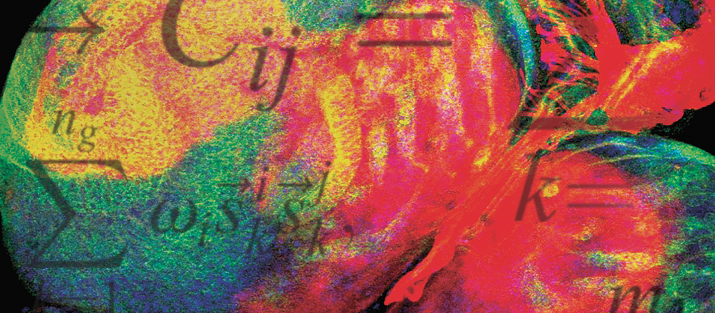 Bright abstract graphic with equations