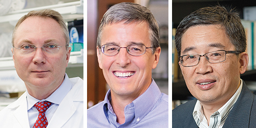 Igor Efimov, John A. Rogers, Yonggang Huang