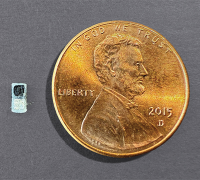 The new dissolvable pacemaker next to a penny for scale. | Photo by John A. Rogers/Northwestern University