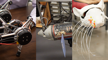 Neuroscience and Robotics Lab
