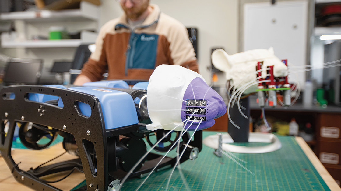 Robotic rats used to study how they use their whiskers.